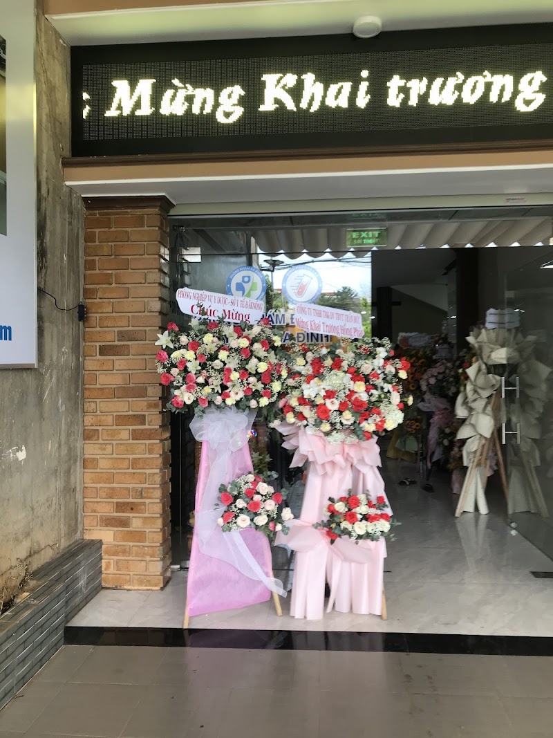 CTY CỔ PHẦN CHĂM SÓC SỨC KHOẺ HỒNG PHƯƠNG - CTY CỔ PHẦN CHĂM SÓC SỨC KHOẺ HỒNG PHƯƠNG 63 Đinh Núp, Tân Lập, Đắk Lắk 640000, Vietnam