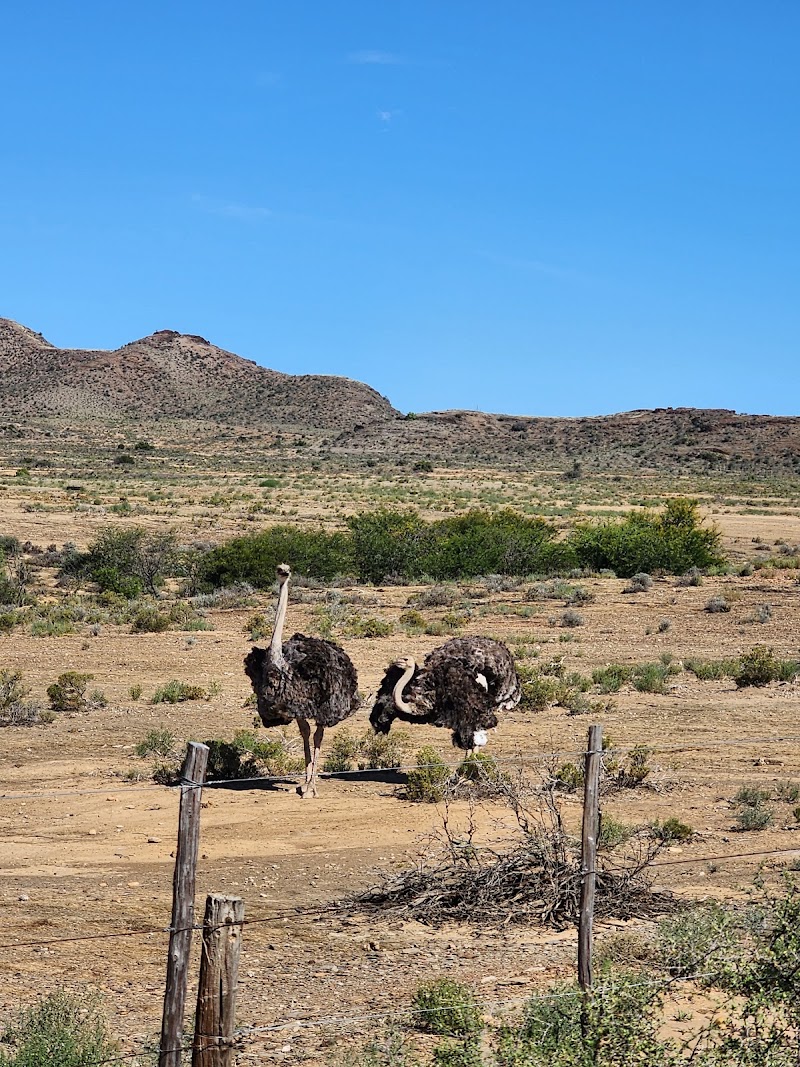 Oudtshoorn - Oudtshoorn, South Africa