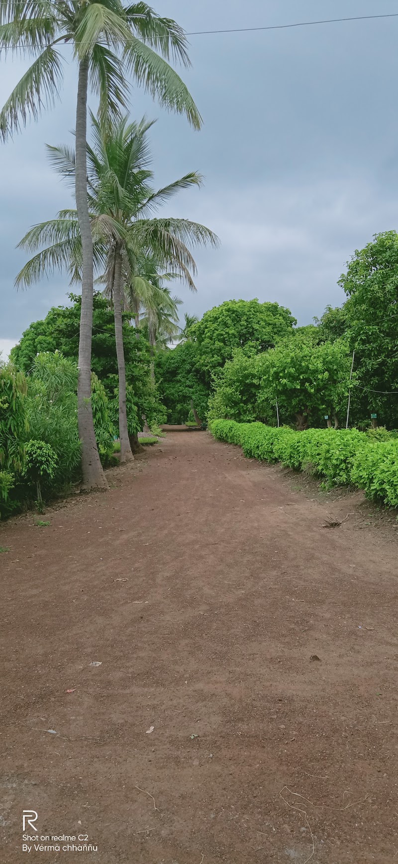 Sanjay Gandhi Nursery - Sanjay Gandhi Nursery, Andhiyarkhor, Chhattisgarh 491335, India