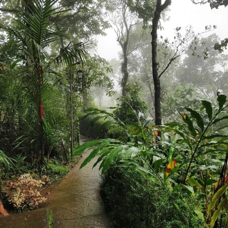 Solitude Munnar - Solitude Munnar Viripara, Maankulam Kallar Road, Munnar, Kerala 685565, India