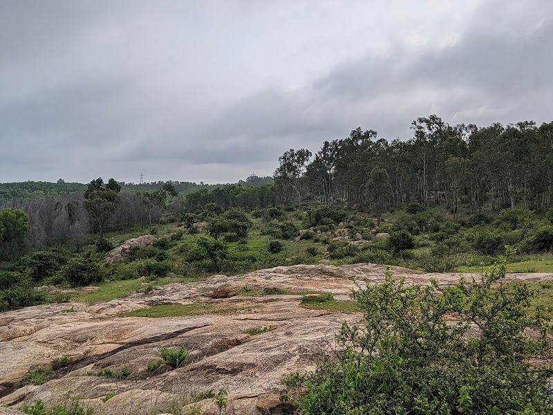 Avalahalli Forest