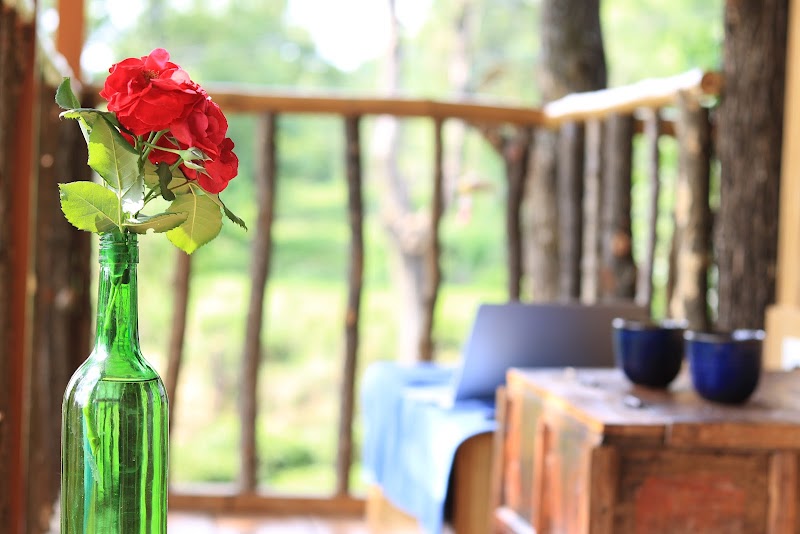 Pratham Tree House - Pratham Tree House Ward No.4, Bir Rd, Chaugan, Himachal Pradesh 176077, India