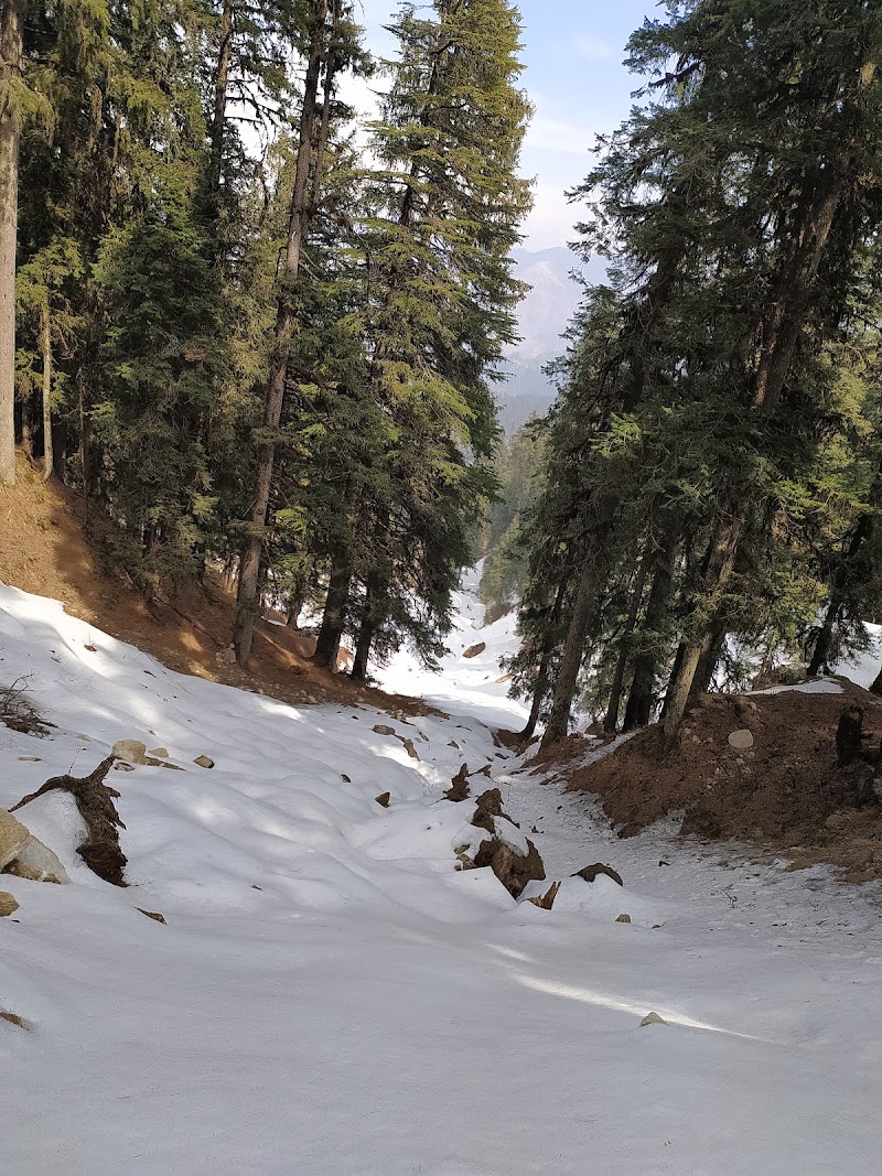 Mata Shikari Devi Taxi Stand - Mata Shikari Devi Taxi Stand F5F8+C47, Himachal Pradesh 175047, India