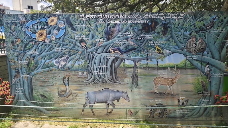 Big Banyan Tree - Big Banyan Tree, 2087, 24th Main Rd, Vanganahalli, 1st Sector, HSR Layout, Bengaluru, Karnataka 560102, India
