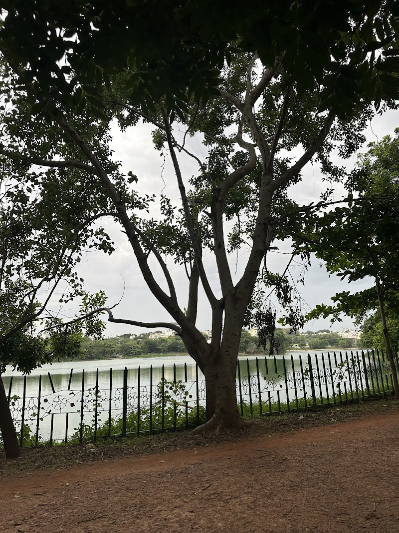 Dore Kere Lake - Dore Kere Lake BHCS Layout, Kumaraswamy Layout 2nd Stage, Uttarahalli Hobli, Bengaluru, Karnataka 560061, India
