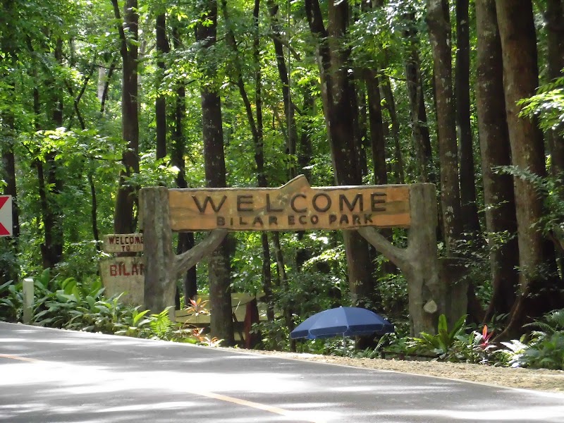 Bilar Man-Made Forest - Bilar Man-Made Forest, M37H+M9X, Loay Interior Road, Bilar, Bohol, Philippines