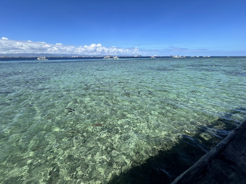 San Vicente Marine Sanctuary - San Vicente Marine Sanctuary, 62XF+C4Q, Lapu-Lapu, Philippines