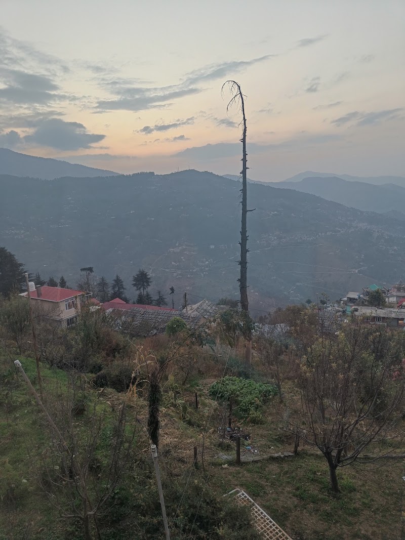 Kotgarh - Kotgarh Kotgarh, Himachal Pradesh, India
