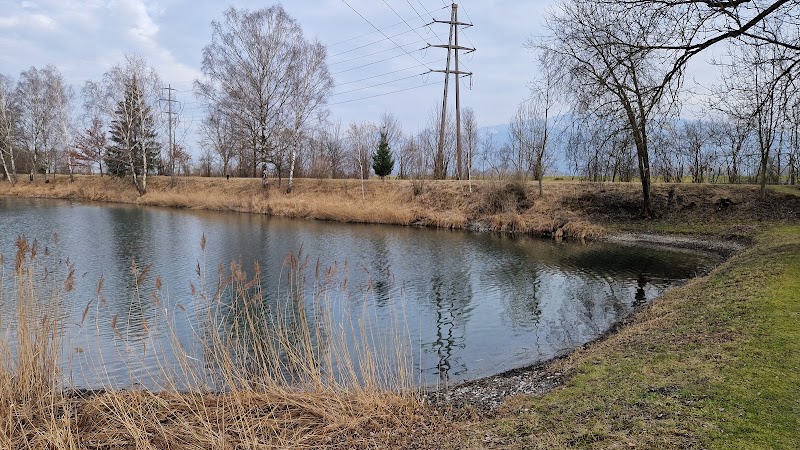 Campingplatz Baggersee - Campingplatz Baggersee Baggerseestrasse 1, 9451 Oberriet, Switzerland