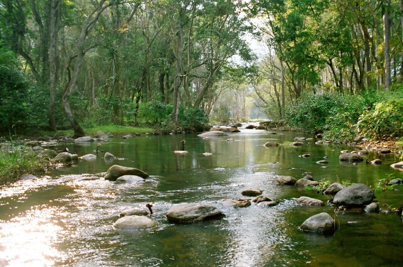 Chinnar Wildlife Sanctuary - Chinnar Wildlife Sanctuary 8644+PC6, Munnar - Udumalpet Rd, Munnar, Kerala 685612, India