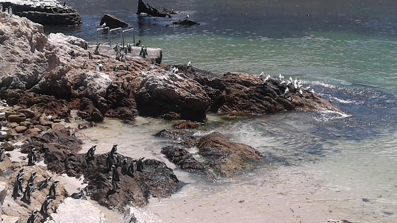 Betty's Bay Beach Parking - Betty's Bay Beach Parking, 5114 Access Rd, Betty's Bay, 7141, South Africa