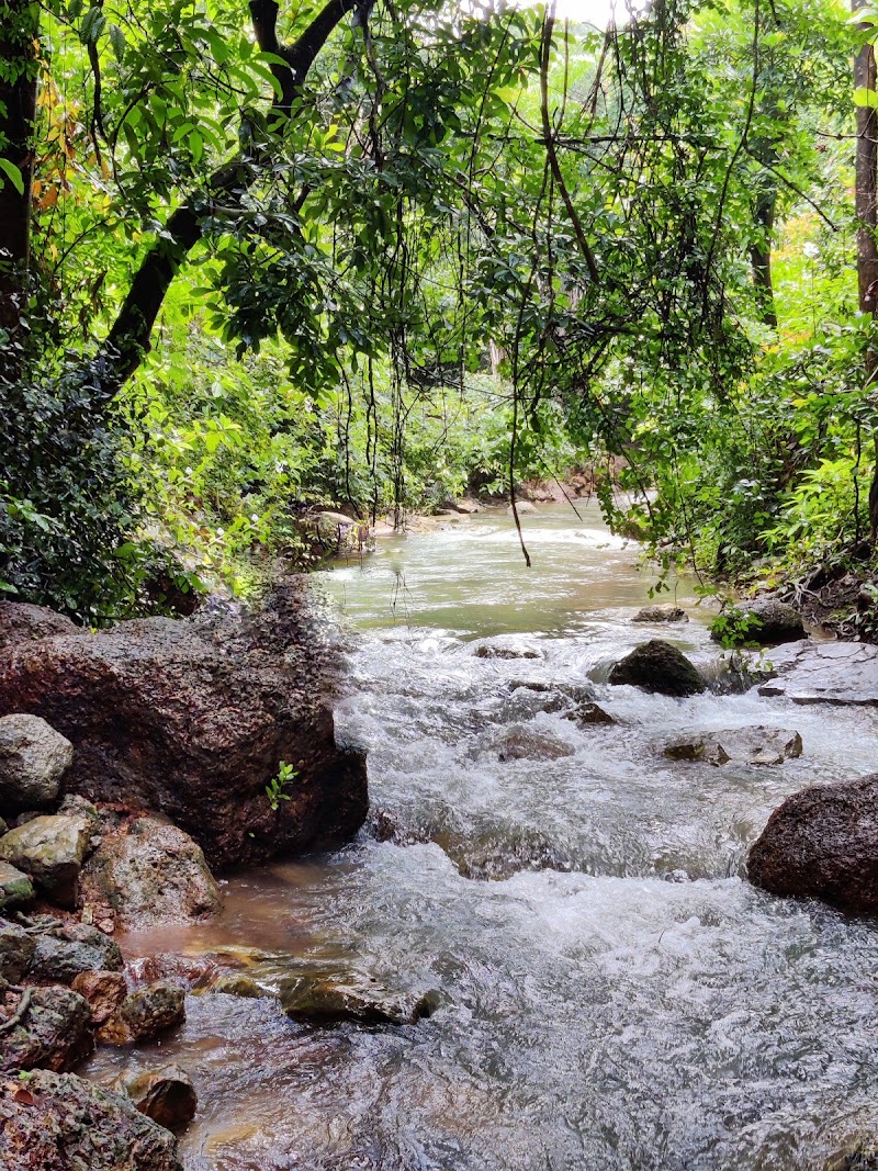Sweet Water Sanctuary - Sweet Water Sanctuary, PM2X+3W, Arambol, Goa 403524, India