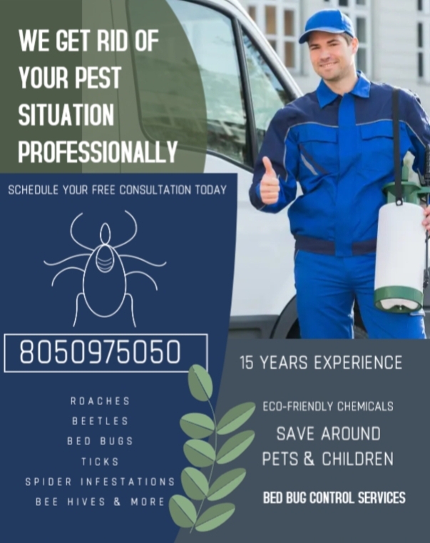 Bed bug control services - Bed bug control services, 329/9, 1st Main Rd, Chandra Reddy Layout, Teachers Colony, Koramangala, Bengaluru, Karnataka 560102, India