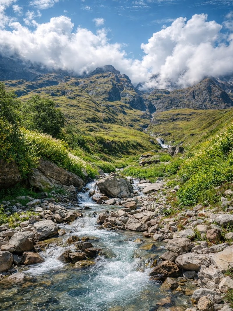 Valley of Flowers National Park - Valley of Flowers National Park Uttarakhand 246443, India