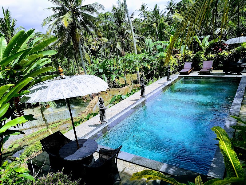 The Ark Ubud Bali - The Ark Ubud Bali, Jl. Penestanan Kelod, Sayan, Kecamatan Ubud, Kabupaten Gianyar, Bali 80571, Indonesia