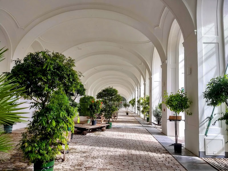 Orangery - Orangery, Schönbrunner Schloßstraße 47, 1130 Wien, Austria