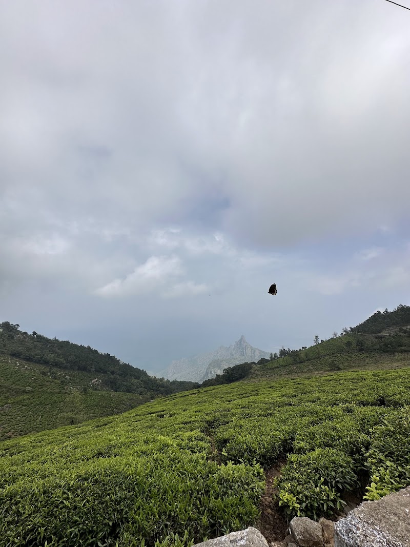 Kodanad View Point - Kodanad View Point GWF8+V7W, Gandhi nagar, Kodanad, Tamil Nadu 643217, India