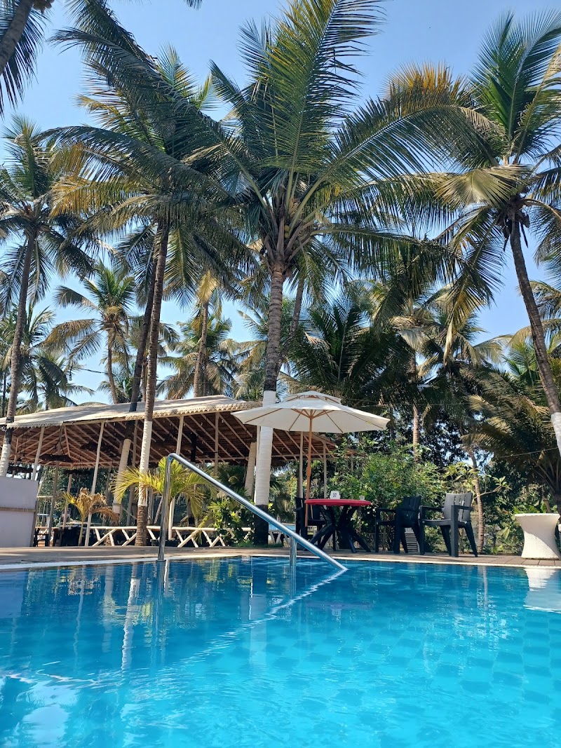 The Bullion Bar & Bistro by Gigi Park - The Bullion Bar & Bistro by Gigi Park opposite Karma Royal, near Taj Exotica, Benaulim, Goa 403716, India