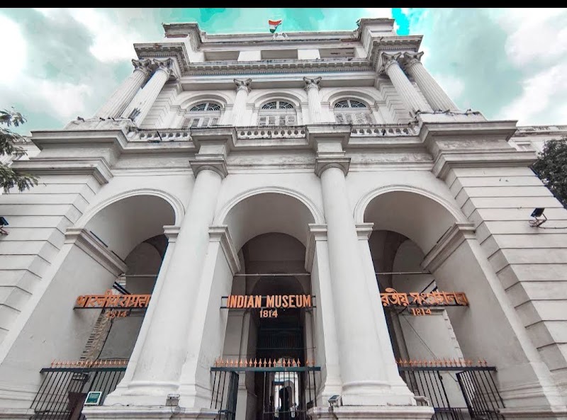 Indian Museum - Indian Museum 27, Jawaharlal Nehru Rd, Colootola, New Market Area, Dharmatala, Taltala, Kolkata, West Bengal 700016, India