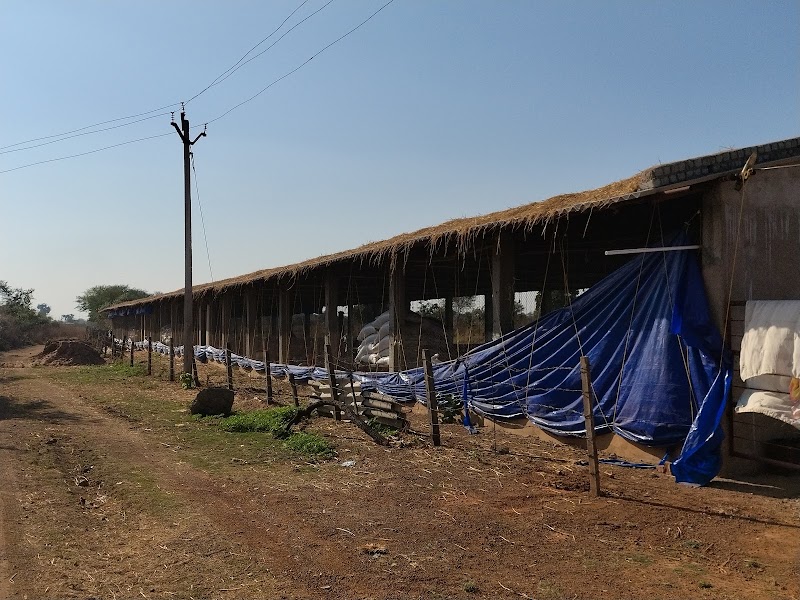 Itwara Bai poultry farm Mudhipar - Itwara Bai poultry farm Mudhipar, Toll gate, raigarh highway road, Mudhipar, Bilaspur, Chhattisgarh 495220, India