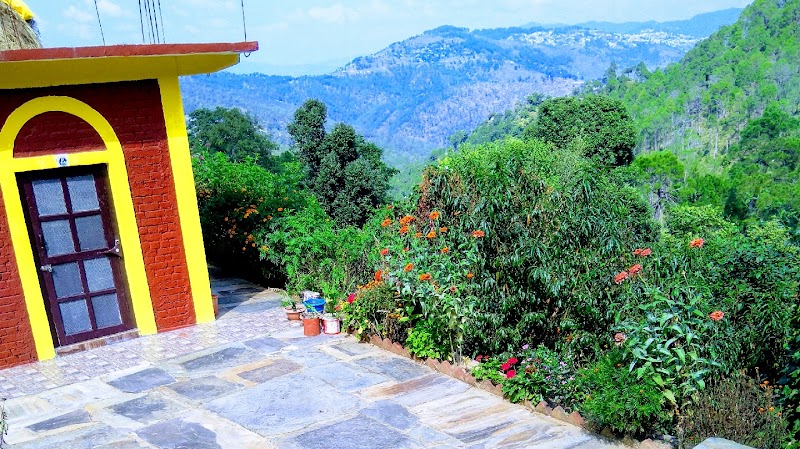 British Home Stay and CAFE