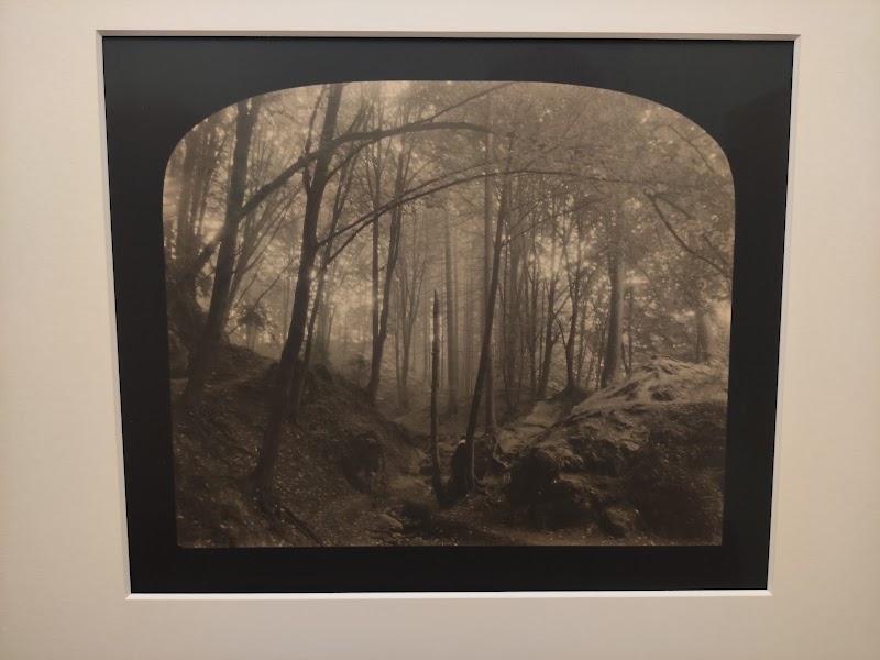 Severočeská galerie výtvarného umění v Litoměřicích, příspěvková organizace - Severočeská galerie výtvarného umění v Litoměřicích, příspěvková organizace, Michalská 29/7, 412 01 Litoměřice-Litoměřice 1, Czechia