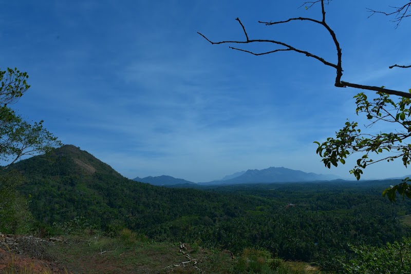Towerhill - Towerhill Malankara Echome P.O, Vilambukandam, Kerala 670645, India