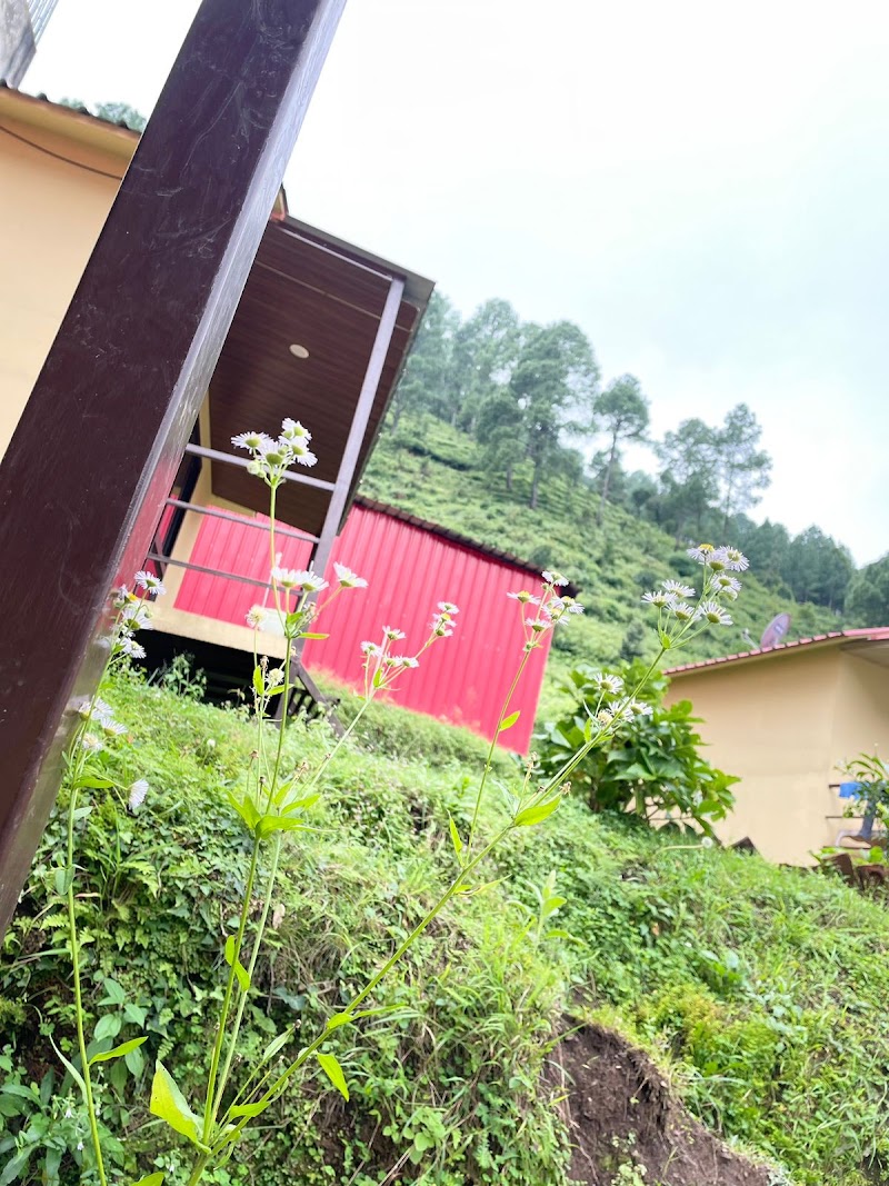 Nainital Hotel and Resort - Nainital Hotel and Resort, Shyamket Rd, Bhowali, Sukha, Uttarakhand 263132, India