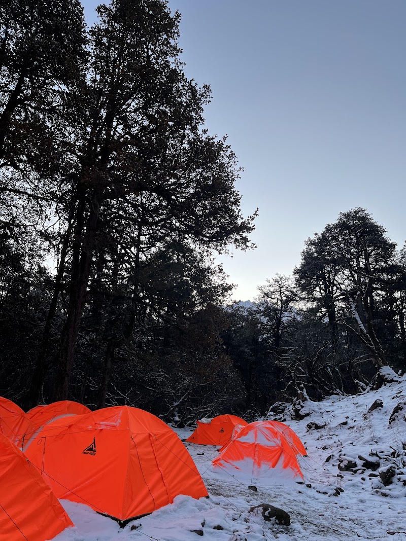 Tali Forest - Tali Forest, FHMP+QM, Kundikhola, Uttarakhand 246483, India