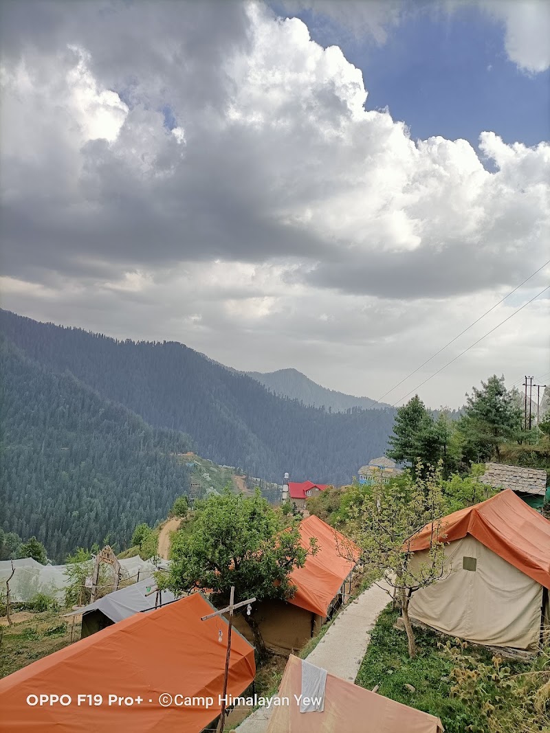 Himalayan Yew Camps And Homestay -- By Raasta stays - Himalayan Yew Camps And Homestay -- By Raasta stays Village Nagrot P.O. Narkanda, Teh, Distt, Kumarsain, Himachal Pradesh 171213, India