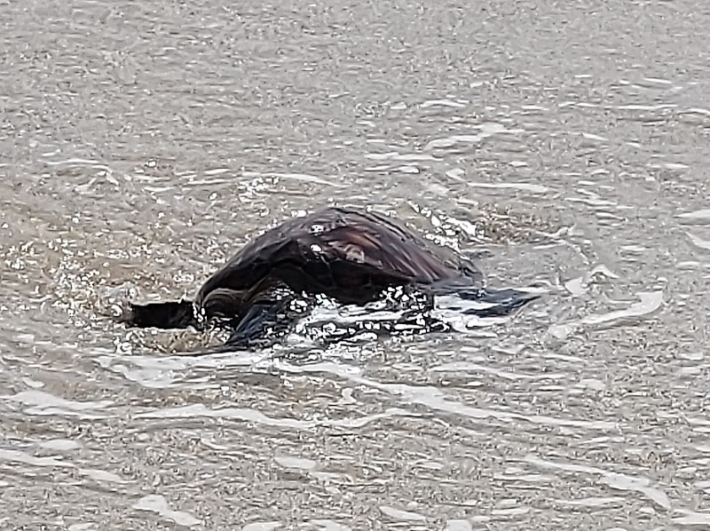 Playa La Galapaguera - Playa La Galapaguera, Isla de San Cristóbal, Ecuador