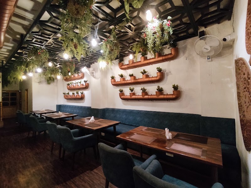 The Plant Story Restaurant - The Plant Story Restaurant 5th, The Raj, Upper, Chopasani Rd, above ICICI Bank, near 5th B Road, Agarwal Ki Bagechi, Pratap Nagar, Jodhpur, Rajasthan 342003, India