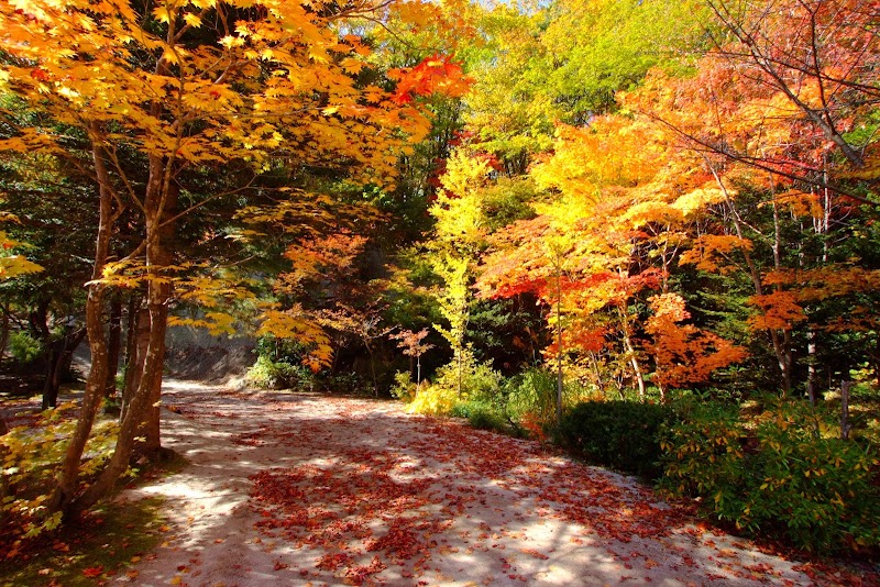 Benizakura Park