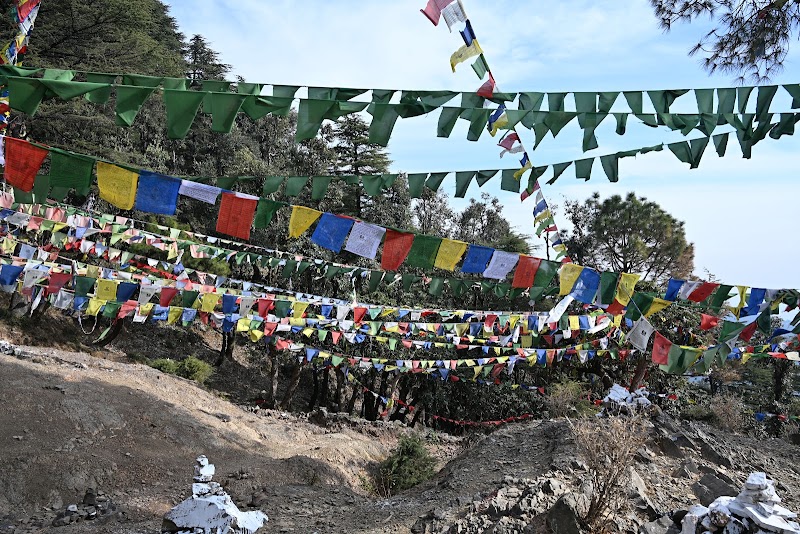 Junglaat Stays & Experiences - Junglaat Stays & Experiences Naddi Rd, near डल झील, McLeod Ganj, Dharamshala, Himachal Pradesh 176216, India