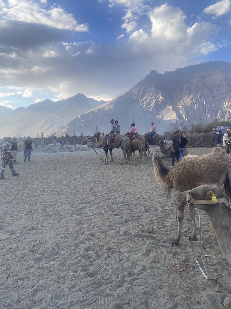 Hunder ,Nubra Leh Ladakh - Hunder ,Nubra Leh Ladakh HFHM+F4P, Hunder, 194401