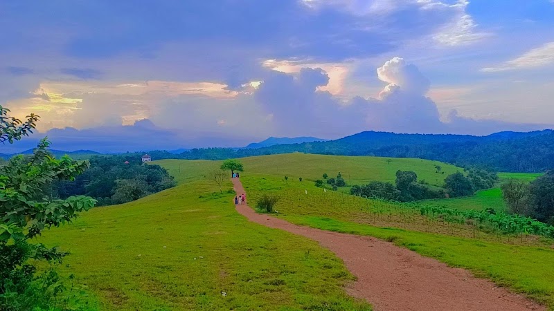 Heththur’s Green Meadows - Heththur’s Green Meadows QQJM+HX5, Hadya, Karnataka 573123, India