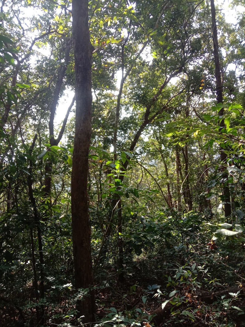 Sanvordem Waterfall - Sanvordem Waterfall G5HX+98Q, Unnamed Road, Valpoy, Goa 403506, India
