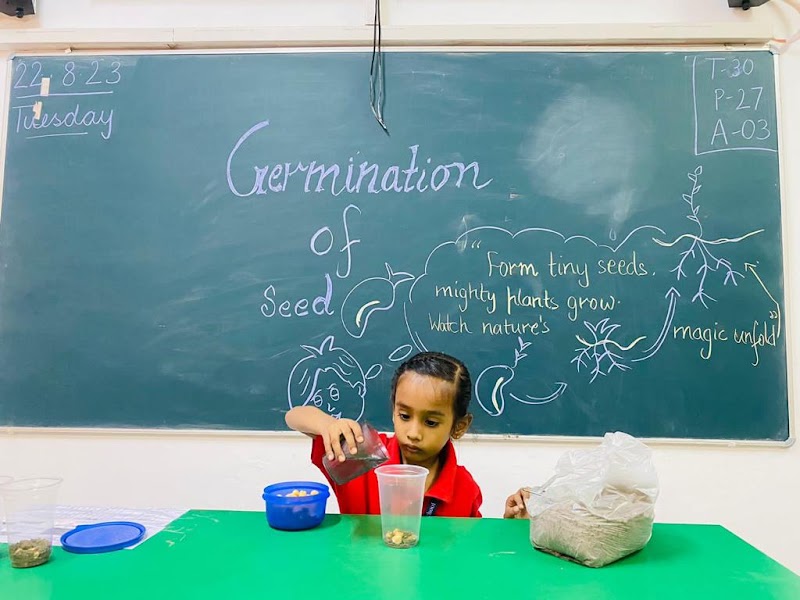 Delhi Heritage School - Delhi Heritage School, Oppo, Main, Kanjhawala Rd, Jain Colony, Sector 22, Rohini, Delhi, 110086, India