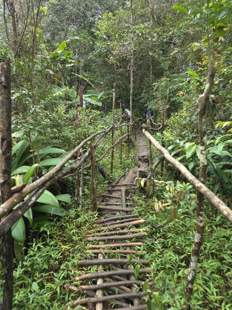 Bolaven Plateau - Bolaven Plateau, Laos