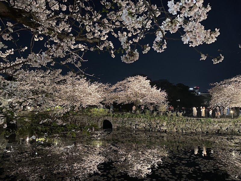Ohori Park - Ohori Park Japan, 〒810-0051 Fukuoka, Chuo Ward, Ōhorikōen, 1 公園管理事務所