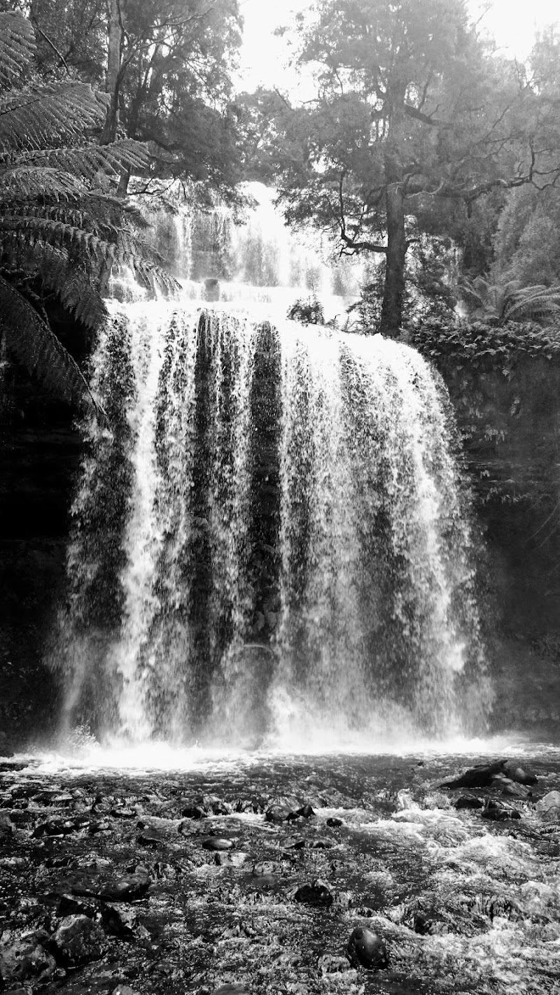 Russell Falls - Russell Falls, National Park TAS 7140, Australia