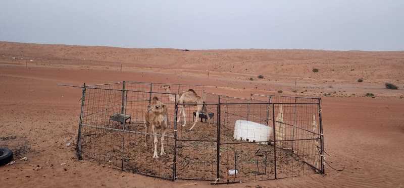 Oman Wahiba Sands Desert Tours - Oman Wahiba Sands Desert Tours, Muscat 130, Oman