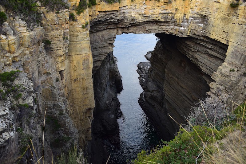 Tasmans Arch Road - Tasmans Arch Road, Tasmans Arch Rd, Eaglehawk Neck TAS 7179, Australia