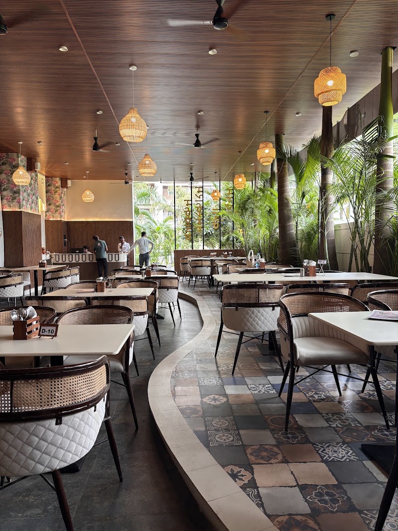 Dakkshin Kafe - Dakkshin Kafe, Singapore City, Parmanand Nagar, Kota, Raipur, Chhattisgarh 492099, India
