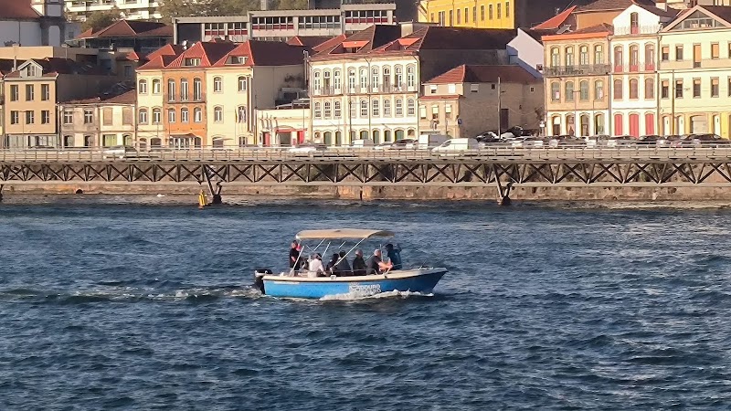 Douro In Board - Douro In Board, R. do Ouro 180, 4150-180 Porto, Portugal