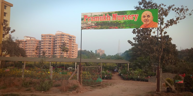 Pramukh Nursery - Pramukh Nursery, Nilkanth Farm House, Ring Road, near Yatri Niwas Hotel, Silvassa, Dadra and Nagar Haveli and Daman and Diu 396230, India