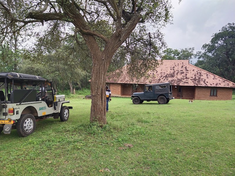 Jungle Holidayz - Jungle Holidayz Jungle Holidayz, Tours & Travels, Mavanalla ( P.O ),, Masinagudi,, Nilgiris, Masinagudi, Tamil Nadu 643223, India