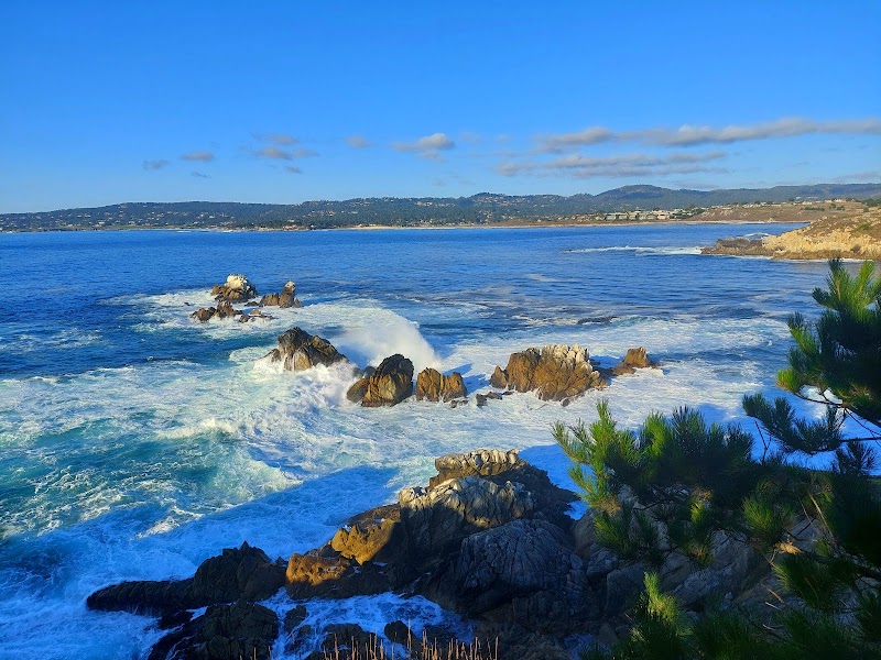 Point Lobos State Natural Reserve - Point Lobos State Natural Reserve Carmel-By-The-Sea, CA 93923, USA