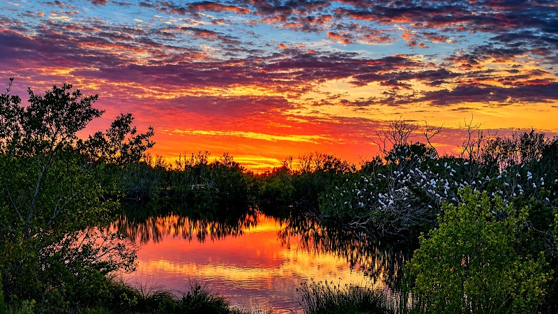 The Ritz-Carlton Residences, Estero Bay Sales Gallery - The Ritz-Carlton Residences, Estero Bay Sales Gallery 5000 Coconut Rd, Bonita Springs, FL 34134, USA