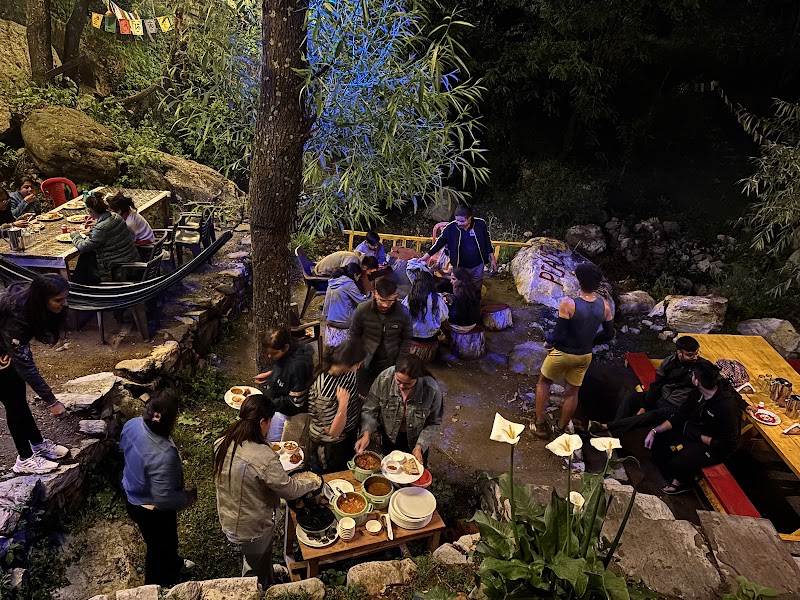 The Cozy Cabin Jibhi - The Cozy Cabin Jibhi Jibhi, Banjar, Rashala, Himachal Pradesh 175123, India